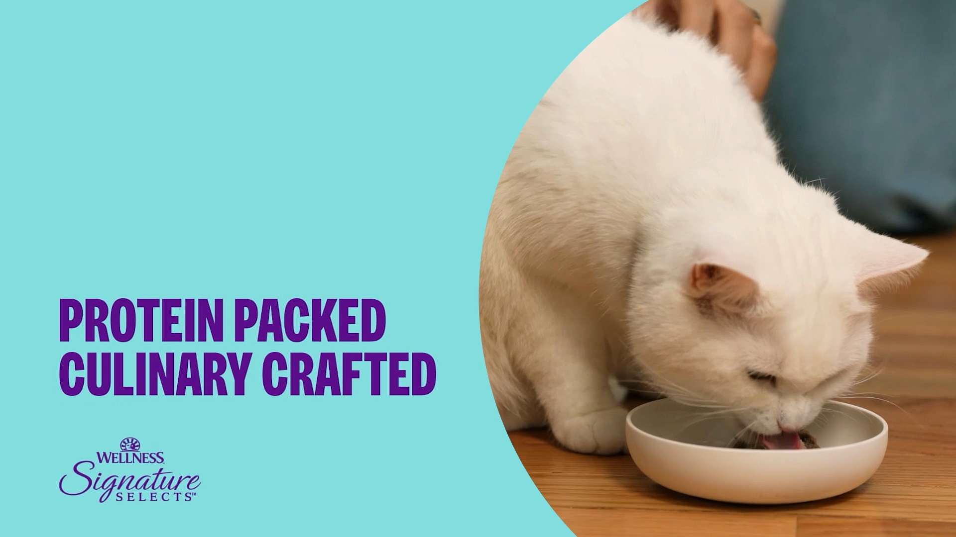 WELLNESS CORE Signature Selects Seafood Selection Variety Pack