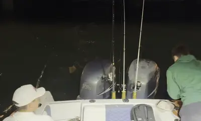Shark fishing with Captain Alex