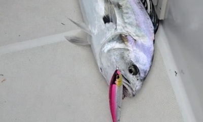 Panama City Report Video 1