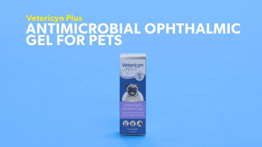 Vetericyn Plus® Antimicrobial Eye Gel for Pets - Vetericyn Animal