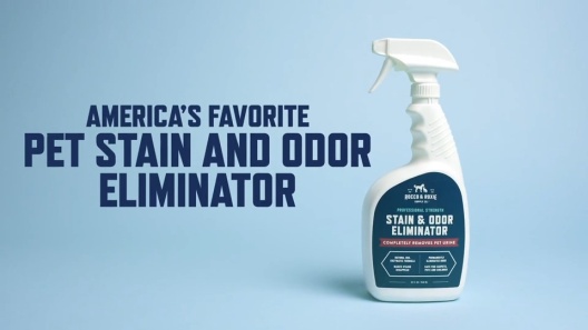 Oxy Stain Remover – Rocco & Roxie Supply Co.