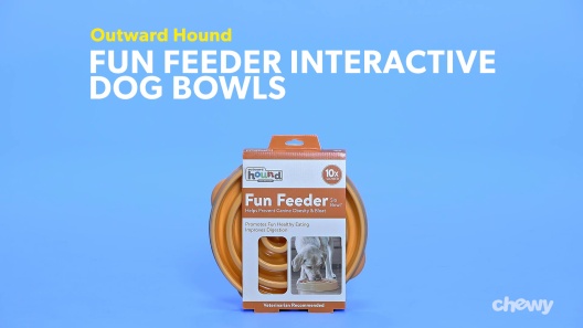 Outward Hound Fun Feeder Slo-Bowl - Teal