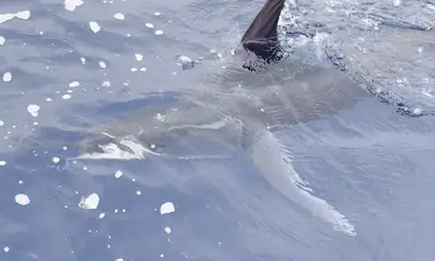 Great Day on the water