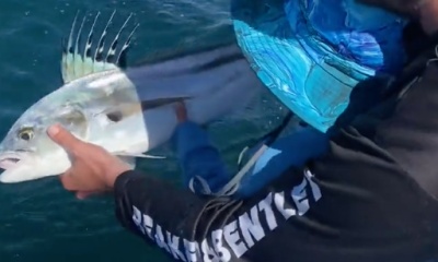 Cabo San Lucas Report Video 0