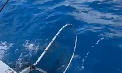 Best trip I have been on including Hawaii, Mexico and many others