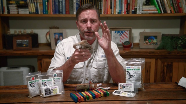 Sugar Glider Food Diet The Ultimate Guide For Healthy Sugar Gliders Pocket Pets