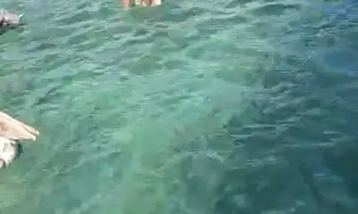 Playa Del Carmen Report Video 1