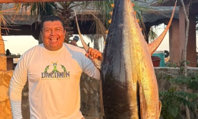 San Jose del Cabo Report Video 0