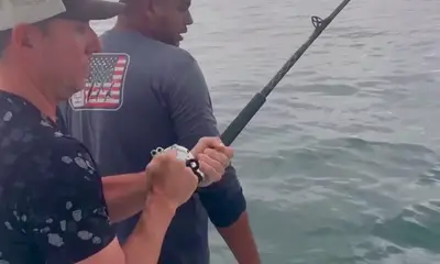 San Jose del Cabo Report Video 0