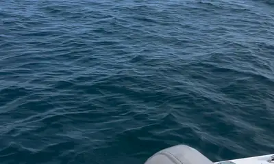 Dennis Report Video 0