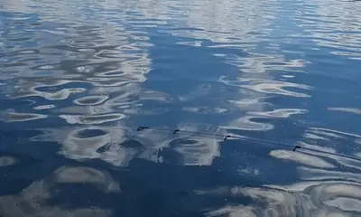 Braunig Lake Report Video 2