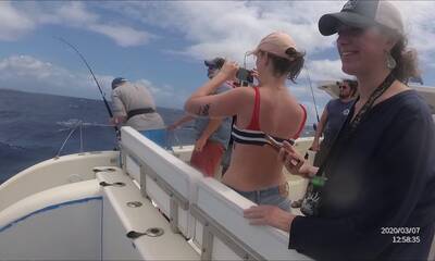 Cole Bay Report Video 0