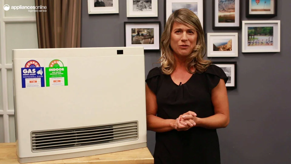 Rinnai Avenger Natural Gas Heater AV25N3 | Appliances Online