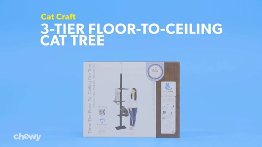 Play Video: Learn More About Cat Craft From Our Team of Experts