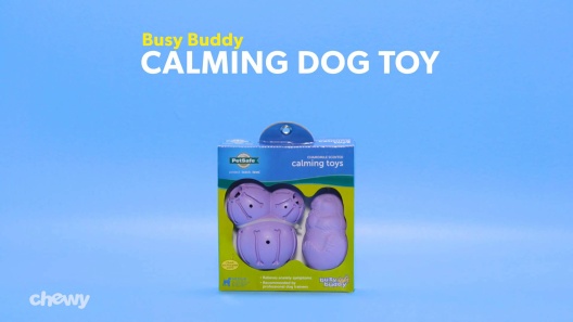 Busy Buddy Calming Dog Toy, Small