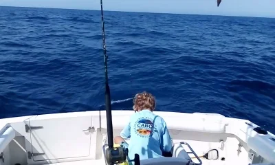 San Jose del Cabo Report Video 0
