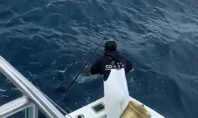 Boynton Beach Report Video 0