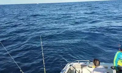 Cabo San Lucas Report Video 1