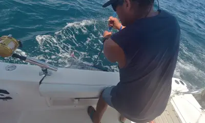 Panama City Report Video 0