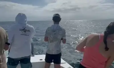Quepos Видео отчет 0