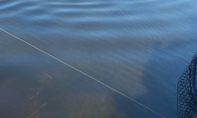 Awesome Anniversary fishing trip!