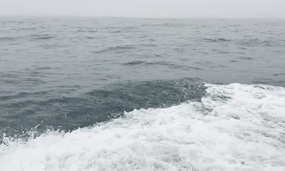 It was a great trip !