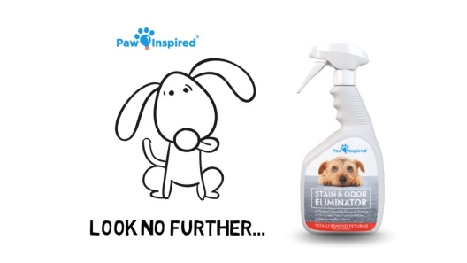 Play Video: Learn More About Paw Inspired From Our Team of Experts