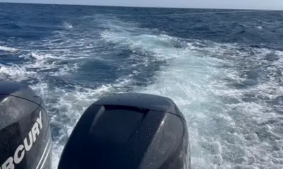 Capt. Found the fish!