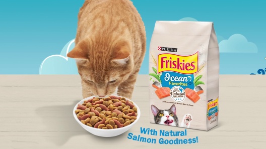 Play Video: Learn More About Friskies From Our Team of Experts