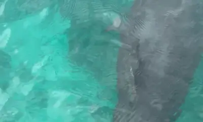 Awesome Day of Fishing