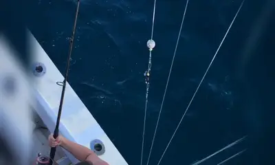 Norfolk Report Video 0