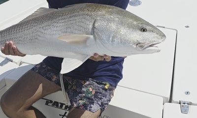 ready to catch real fish?