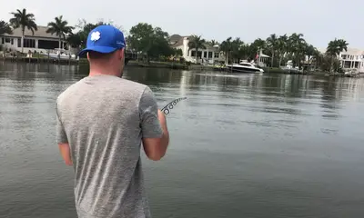 Sarasota Report Video 0