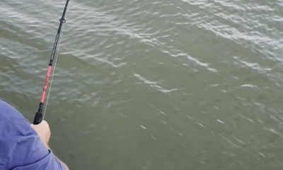 Excellent Inshore Trip for reds and trout!