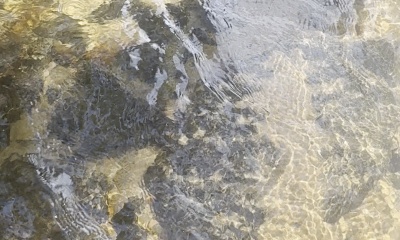 Atlanta Report Video 4