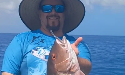 Snapper