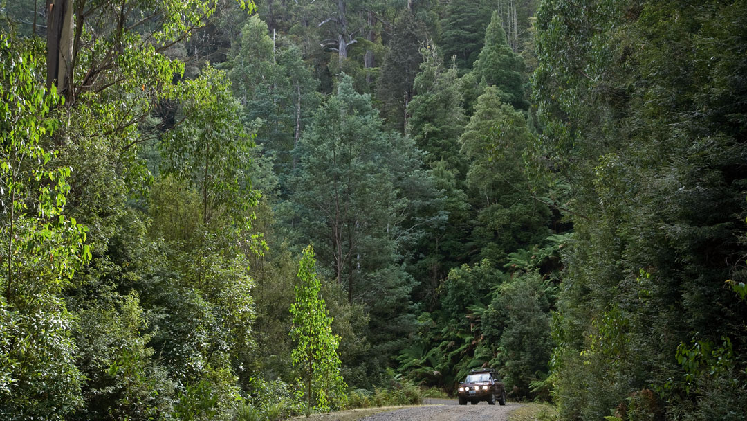 Thumbnail for the listing 'PEPPER BUSH ADVENTURES – The Ultimate Wildlife Experience'