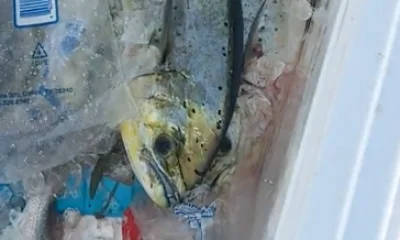 Boynton Beach Report Video 0