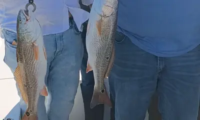 San Antonio Report Video 0