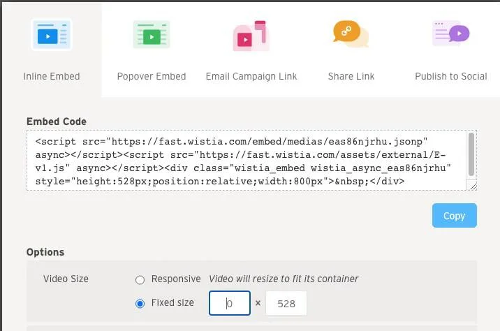 The Only Guide to How To Imbed Wystia Video In Thrive Themes