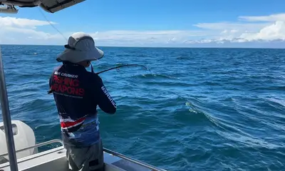 Queensland Report Video 2