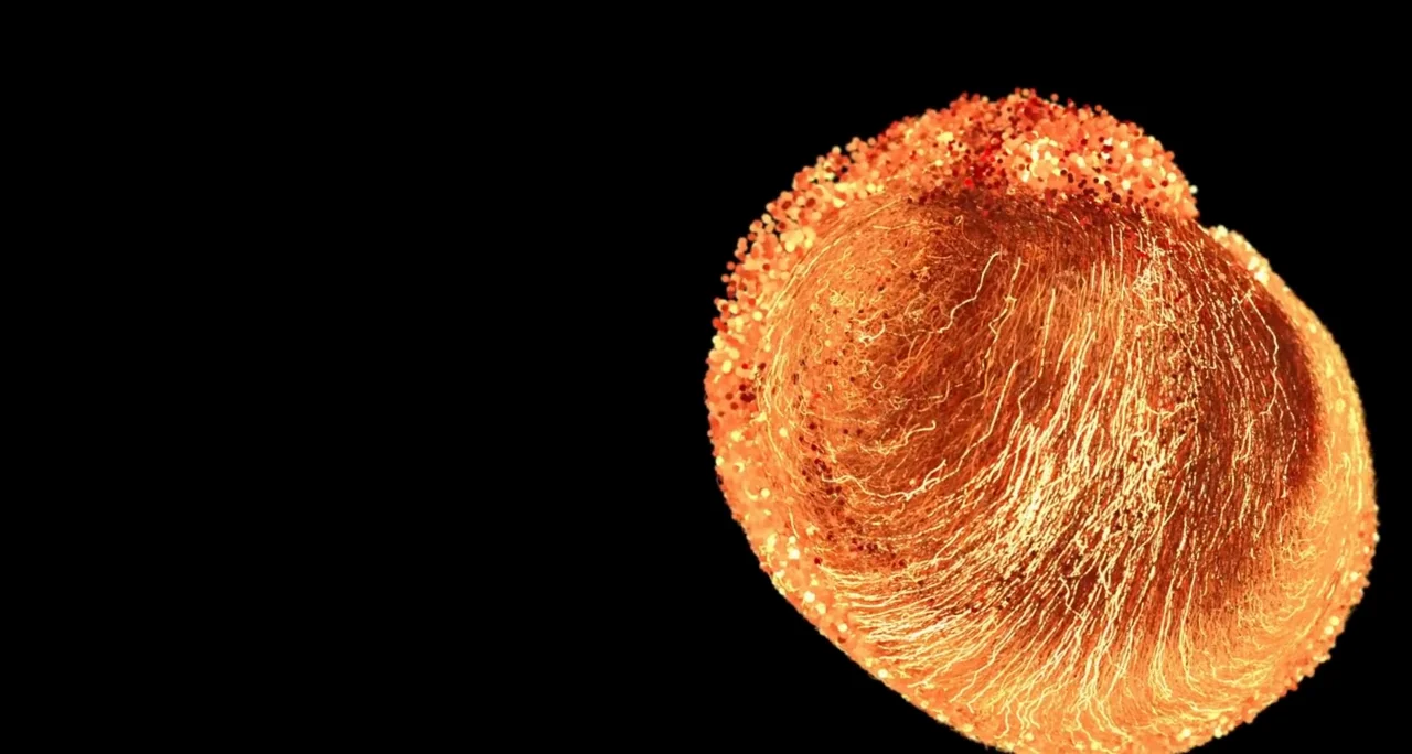 Dynamic duo: powerful new tools show cells in action - Biohub