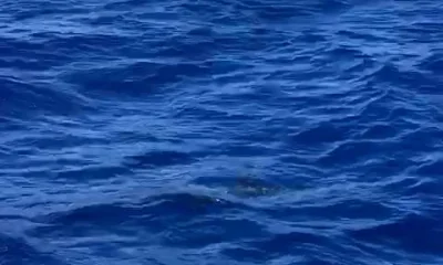 Punta Cana Report Video 2