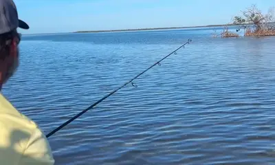 Bokeelia Report Video 3