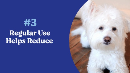 ANGELS' EYES Multi-Purpose Sterile Dog Cat Eye Wash, 4-fl oz