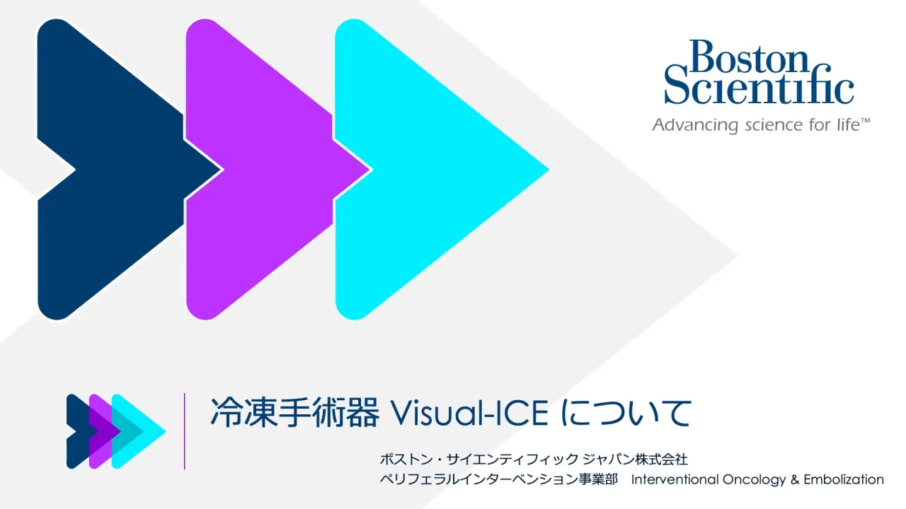 Visual-ICE™ Cryoablation System | ビジュアルアイス クライオ