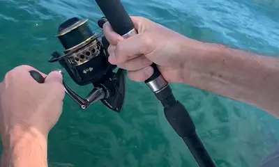 Dennis Report Video 1