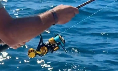 Gulf Breeze Report Video 1