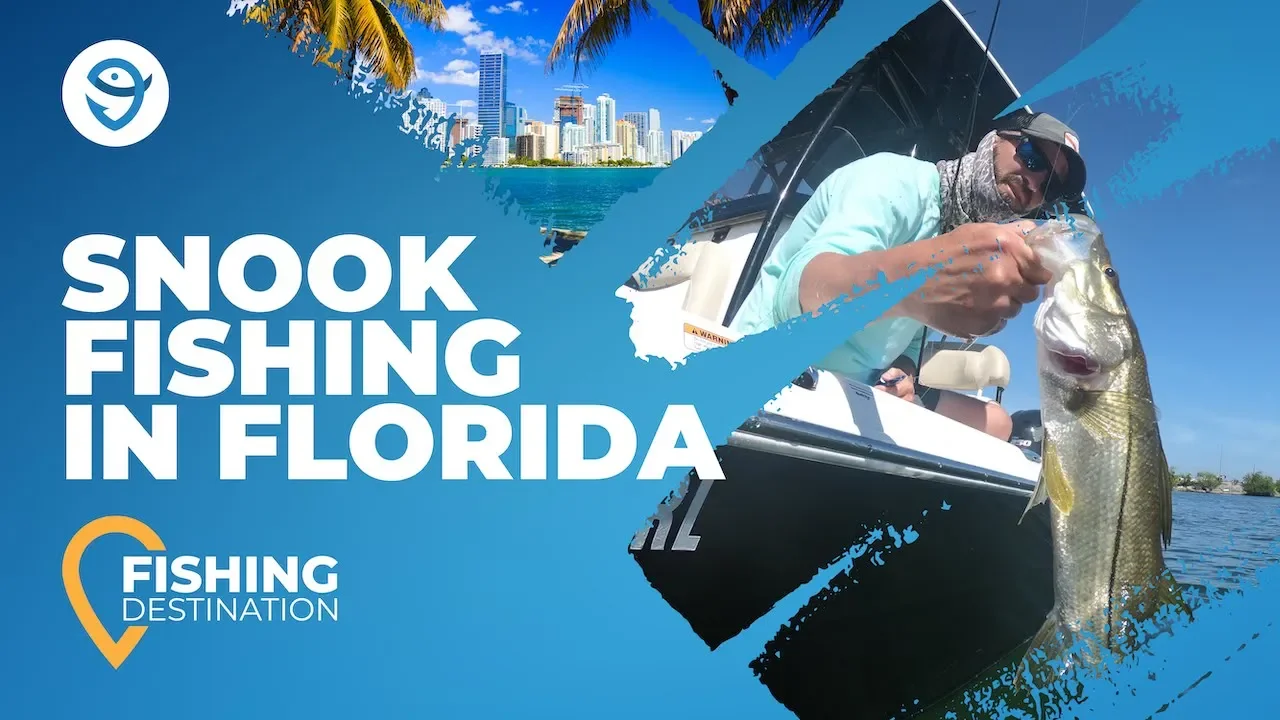 Fishingbooker How To Fish For Snook