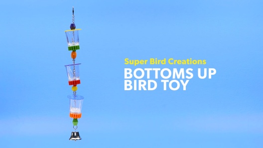 Play Video: Learn More About Super Bird Creations From Our Team of Experts